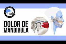 Pectoral anatomia y estiramiento