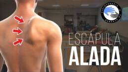 Ejercicios para escapula alada, como corregirla