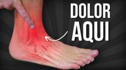 Todas las novedades y ejercicios a un solo clic  / Fisioterapia a tu alcance