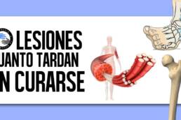 ¿Cuanto tiempo tarda en curarse una lesion?