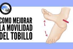 ¿Por que la movilidad del tobillo es tan importante? ejercicios para mejorarla