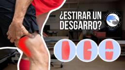 ¿Se puede estirar una rotura de fibras o un desgarro muscular?