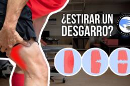 ¿Se puede estirar una rotura de fibras o un desgarro muscular?