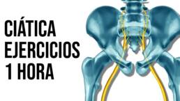 ⚡Rutina de EJERCiCIOS de 1 hora PARA LA CIATICA